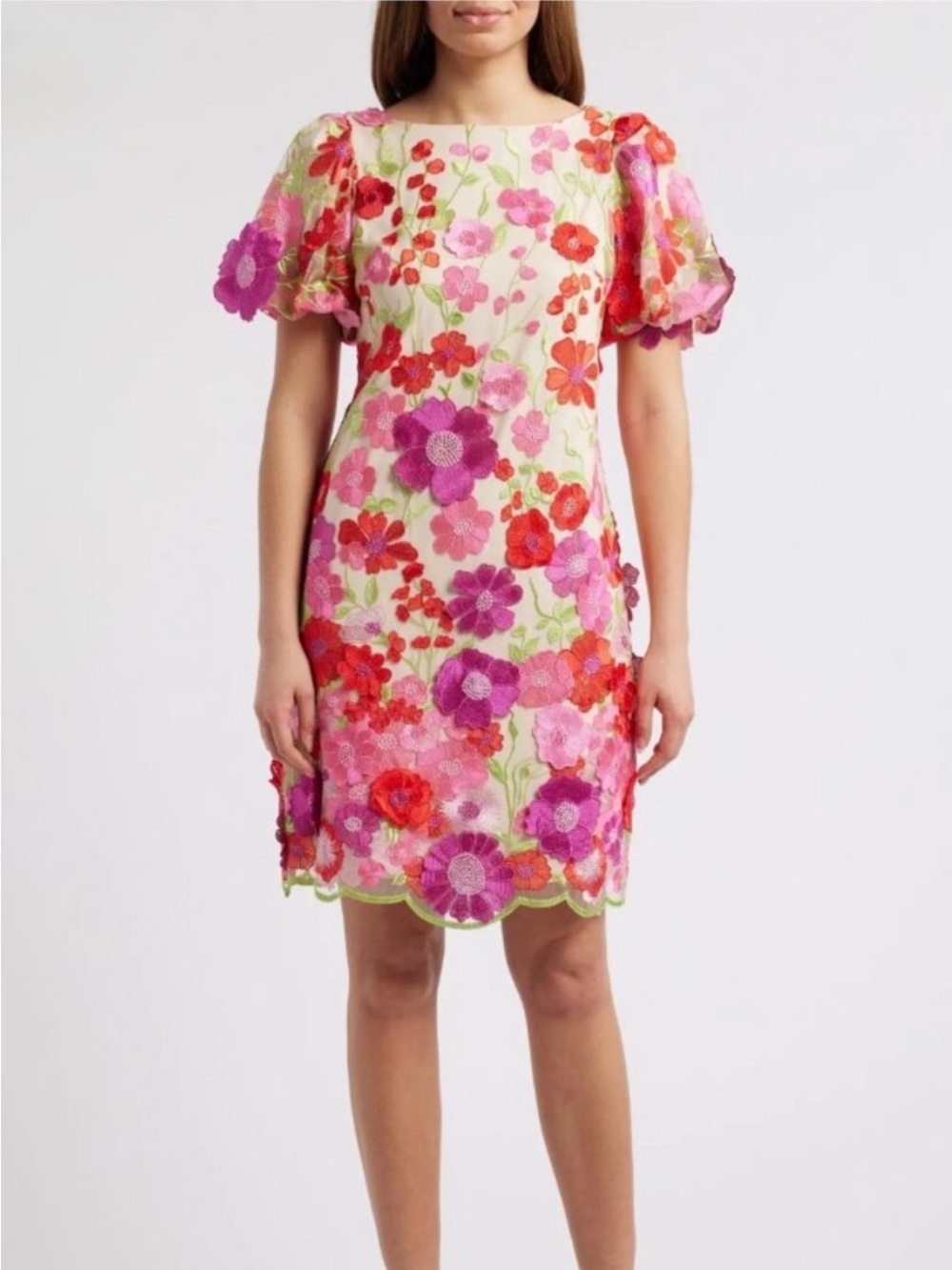 Eliza J Embroidered Dress